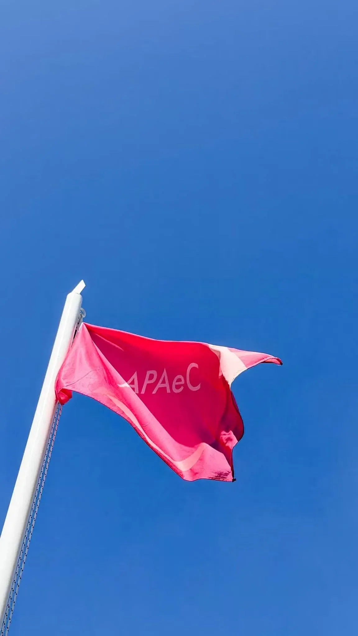Banderas rosas en el acceso a Rada Tilly por el Octubre Rosa