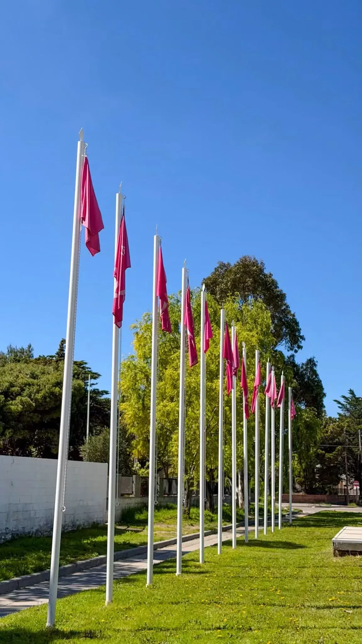 Banderas rosas en el acceso a Rada Tilly por el Octubre Rosa