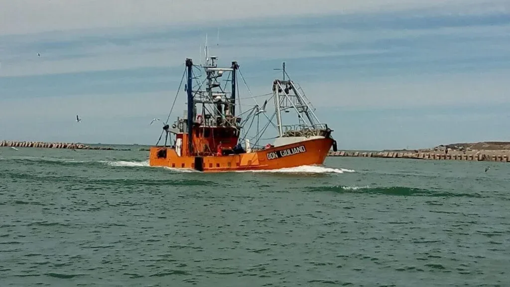 Prospección de langostino en Chubut: fecha y flota confirmadas