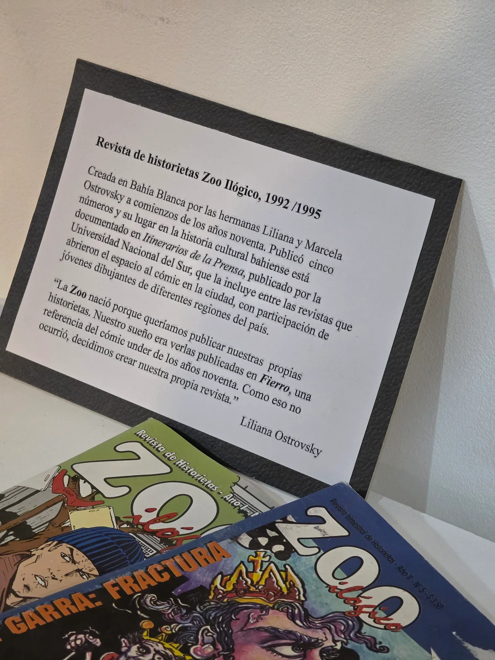 Liliana Ostrovsky inaugura una retrospectiva con más de 70 ilustraciones
