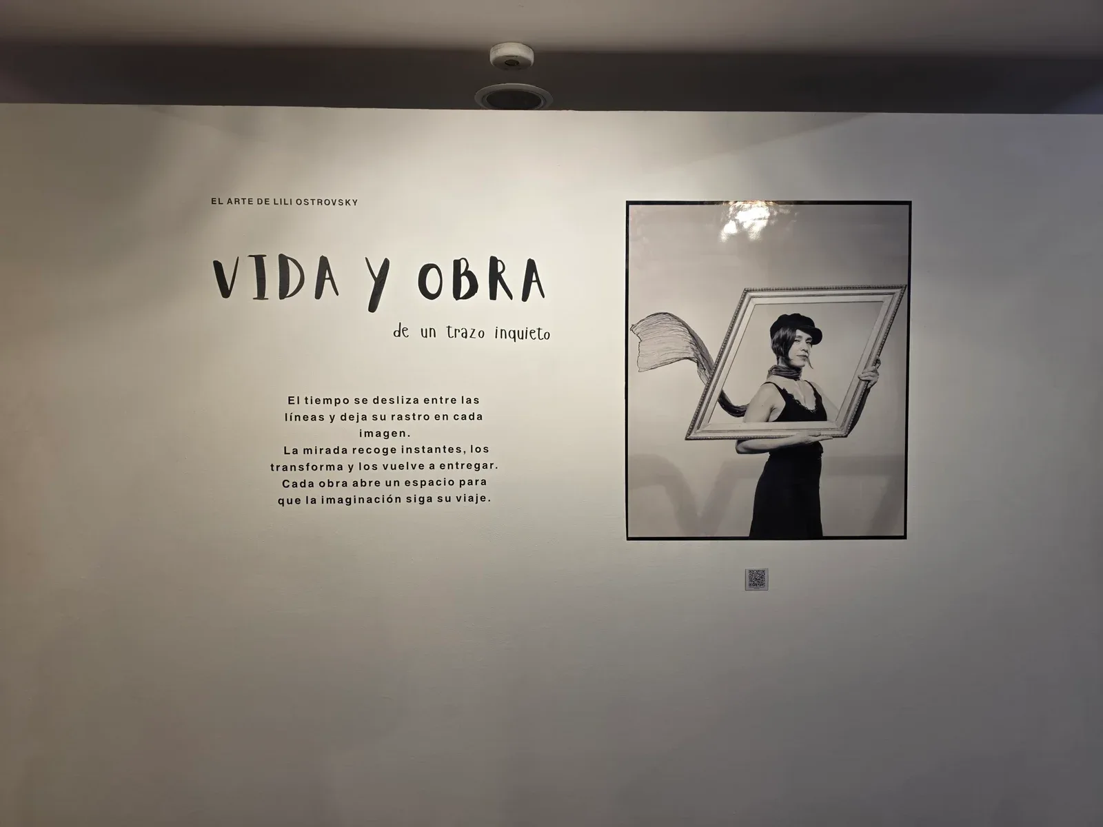 Liliana Ostrovsky inaugura una retrospectiva con más de 70 ilustraciones