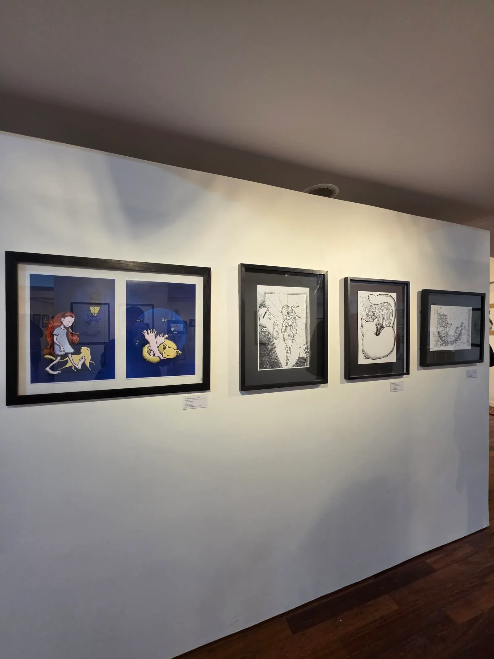 Liliana Ostrovsky inaugura una retrospectiva con más de 70 ilustraciones