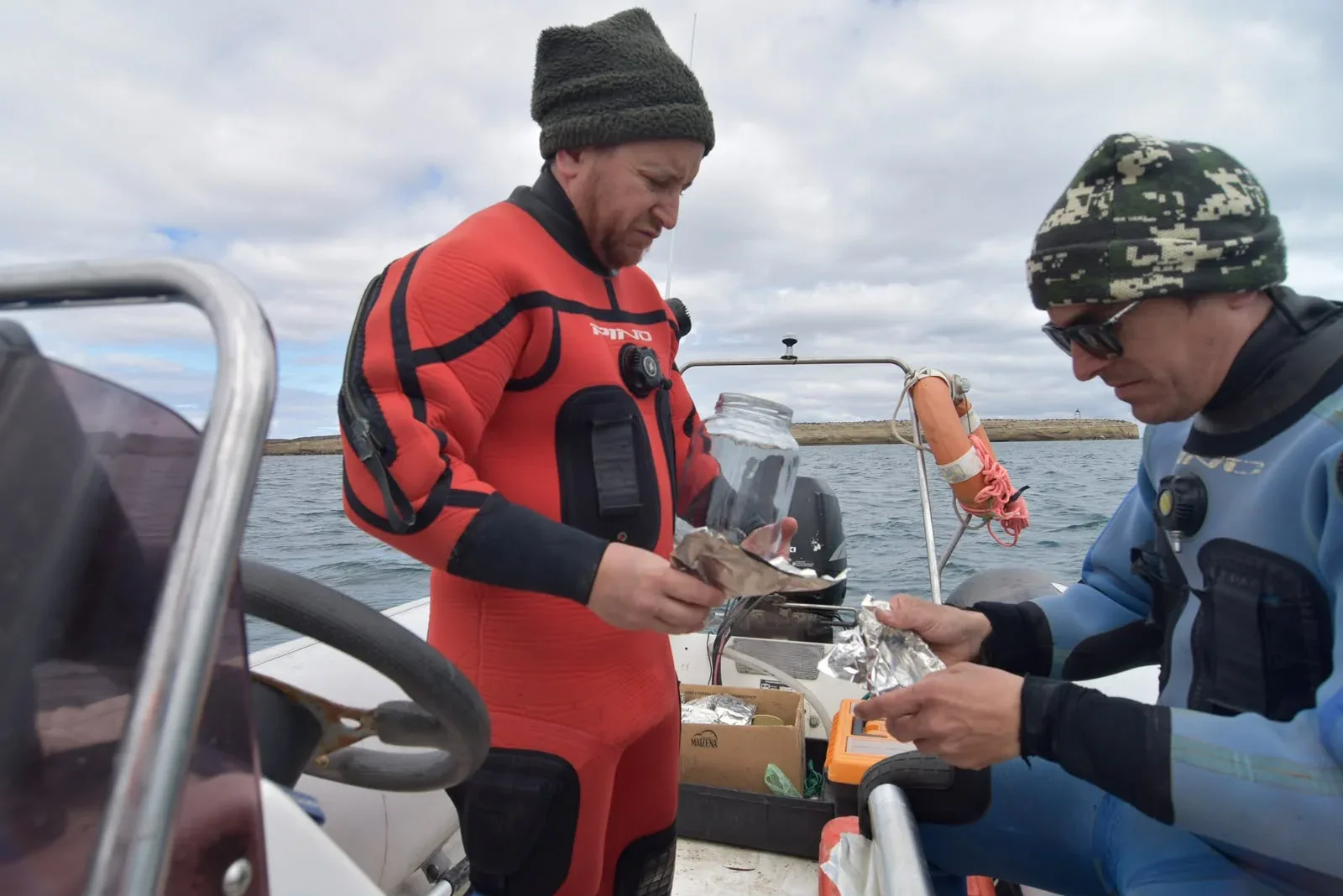 Monitoreo sanitario por varamientos de ballenas en Chubut