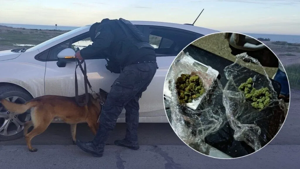 Un can antidrogas detectó cannabis en un control vehicular en el barrio Km 5