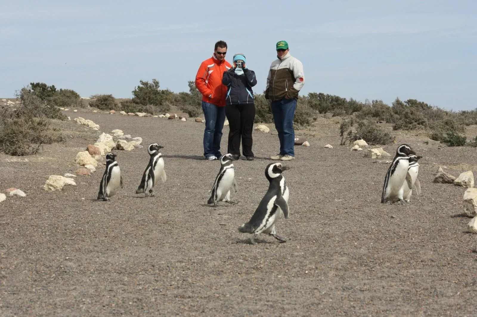 Chubut: 24.000 turistas y casi $11.000 millones en el fin de semana largo