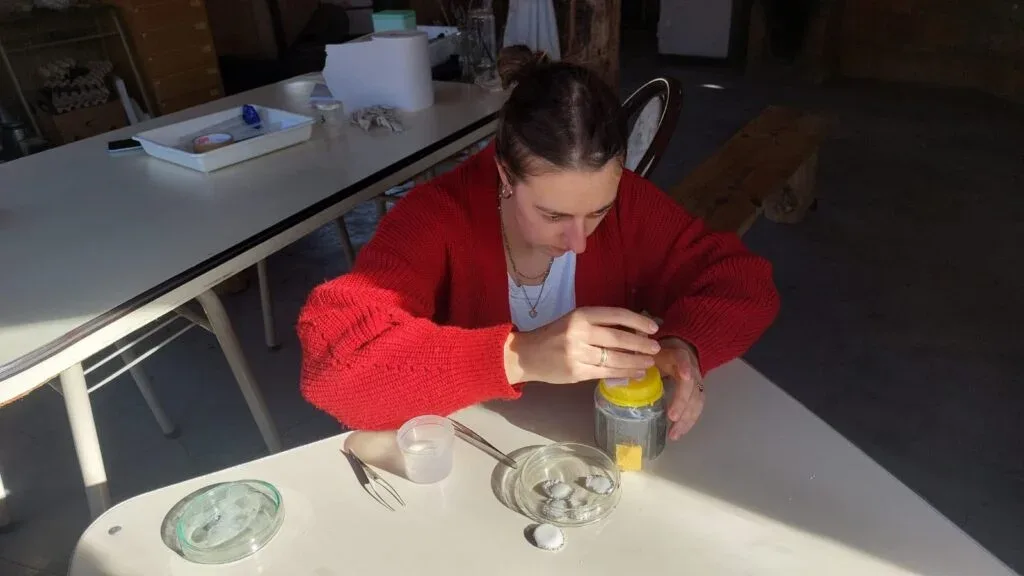 Aceites de plantas regionales muestran potencial contra la varroa